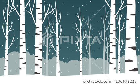 Snowy Birch Forest Under Starry Night Sky 136672223