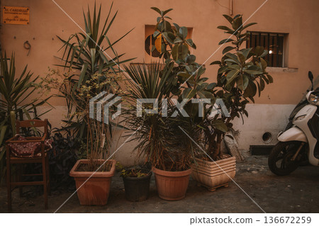 A charming alleyway with traditional architecture and lush potted plants. A charming alleyway with traditional architecture and lush potted plants. 136672259