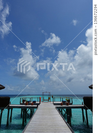 A pier with a swing that jumps out into the lagoon 136672294