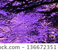 Cherry blossoms at night 136672351
