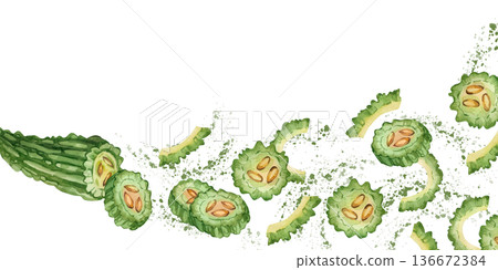A watercolor banner featuring illustrations of bitter melon, a traditional Asian food. A hand-painted watercolor illustration of bitter gourd for a healthy nutrition design. A watercolor banner featuring illustrations of bitter melon, a traditional Asian food. A hand-painted watercolor illustration of bitter gourd for a healthy nutrition design. 136672384