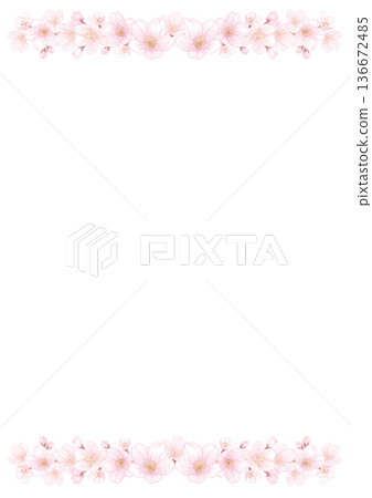 White background decorated with watercolor hand-drawn illustrations of cherry blossoms on the top and bottom - vertical White background decorated with watercolor hand-drawn illustrations of cherry blossoms on the top and bottom - vertical 136672485
