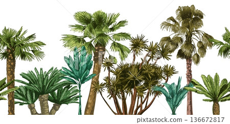 Green palm tree seamless border. Hand drawn fronds, botanical foliage for jungle wallpaper, tropical background and resort travel beach poster. Exotic island landscape horizontal vector panorama 136672817