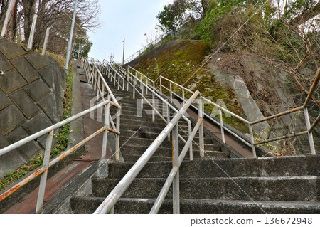 一條又長又陡的階梯和鏽跡斑斑的扶手橫跨山坡。 一條又長又陡的階梯和鏽跡斑斑的扶手橫跨山坡。 136672948