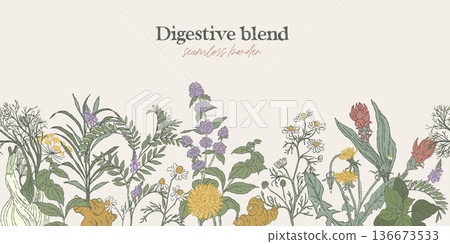 Digestive Herbal Blend Seamless Border Digestive Herbal Blend Seamless Border 136673533