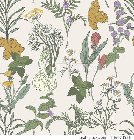 Digestive Herbal Blend Seamless Pattern Digestive Herbal Blend Seamless Pattern 136673536