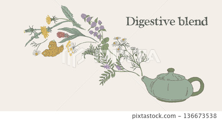 Digestive Herbal Blend with Teapot Illustration Digestive Herbal Blend with Teapot Illustration 136673538