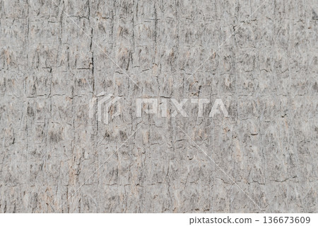 Grey monochrome texture of palm tree bark. Close-up of silver-grey tropical wood fiber pattern. Grey monochrome texture of palm tree bark. Close-up of silver-grey tropical wood fiber pattern. 136673609