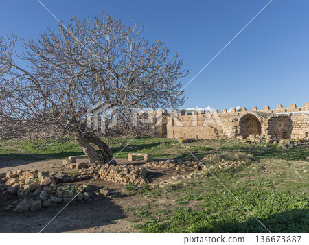 Coastal Sentinel: The Ancient Strategic Fortress of Kelibia Coastal Sentinel: The Ancient Strategic Fortress of Kelibia 136673887