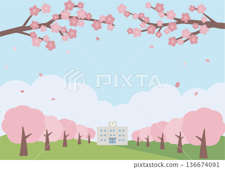 春季背景插圖 櫻花背景 橫幅標誌 136674091