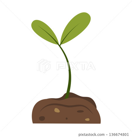 Young green sprout growing from soil. Concept of spring, new life, development, ecology, and sustainability. Vector element for design isolated on white background. Young green sprout growing from soil. Concept of spring, new life, development, ecology, and sustainability. Vector element for design isolated on white background. 136674801