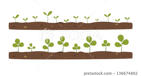 Green sprouts growing from soil. Concept of growth, new life, development, ecology, and sustainability. Spring illustration for design, decoration, border, banner, invitation, sale. Green sprouts growing from soil. Concept of growth, new life, development, ecology, and sustainability. Spring illustration for design, decoration, border, banner, invitation, sale. 136674802
