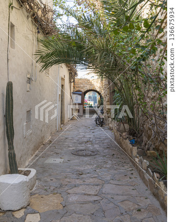 Timeless Echoes: A Walk Through Hammamets Winter Medina Timeless Echoes: A Walk Through Hammamets Winter Medina 136675934