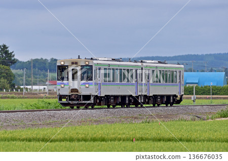 Furano Line Nishinaka-Lavender Field JR Hokkaido Kiha 150-8 + Kiha 150-9 (Asahikawa) 136676035