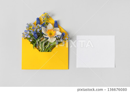 Yellow envelope with clean white sheet of paper for your text and spring flowers muscari, daffodils and blue brunnera sibirica on gray background. Invitation to the holidays. Flat lay. Yellow envelope with clean white sheet of paper for your text and spring flowers muscari, daffodils and blue brunnera sibirica on gray background. Invitation to the holidays. Flat lay. 136676080
