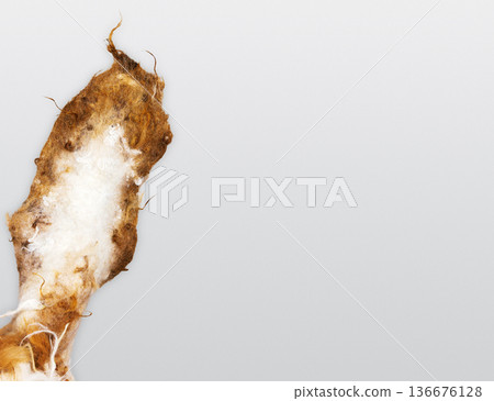 Close up of a handmade felted bunny ear made from carded wool and sheep locks, placed on the left against a clean white background Close up of a handmade felted bunny ear made from carded wool and sheep locks, placed on the left against a clean white background 136676128