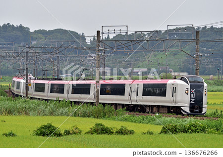 總武本線佐倉物之JR東E259系列Ne022編隊(鎌倉)成田特快NEX 總武本線佐倉物之JR東E259系列Ne022編隊(鎌倉)成田特快NEX 136676266