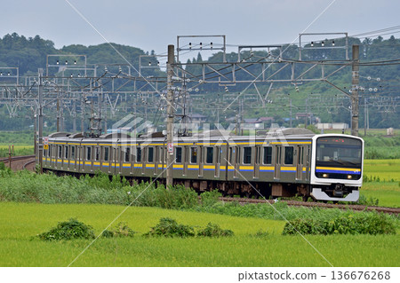 Sobu Main Line, Sakura-Monoi, JR East, 209 series, C613 formation (Makuhari) Sobu Main Line, Sakura-Monoi, JR East, 209 series, C613 formation (Makuhari) 136676268