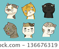 Cute Curious Cats Collection, Hand Drawn Vector Illustration of Funny Kittens with Different Facial 136676319