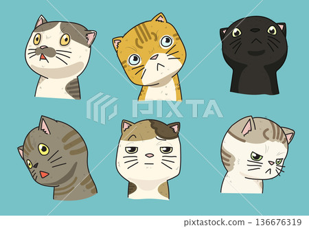 Cute Curious Cats Collection, Hand Drawn Vector Illustration of Funny Kittens with Different Facial Cute Curious Cats Collection, Hand Drawn Vector Illustration of Funny Kittens with Different Facial 136676319