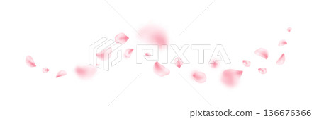 Spring cherry blossom frame. Sakura petal flying composition. Japan flower banner. Cosmetic beauty product wave. Natural decoration. Spa pink rose bg. Valentine romantic card. Vector illustration 136676366