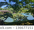 The pond seen from the shade of the trees 136677151