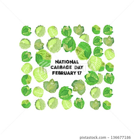 Print national cabbage day happy national cabbage day design vector Print national cabbage day happy national cabbage day design vector 136677186