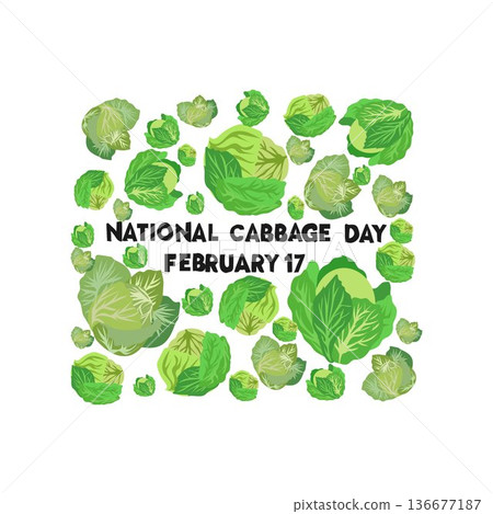 Print national cabbage day happy national cabbage day design vector Print national cabbage day happy national cabbage day design vector 136677187