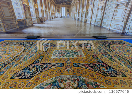 Woven carpet for french king Louis XIV, Paris, France 136677646