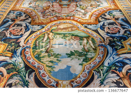 Woven carpet for french king Louis XIV, Paris, France 136677647