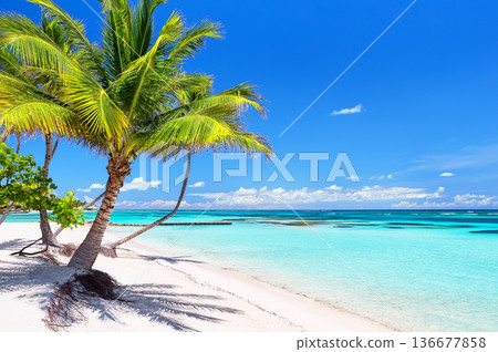 Beautiful white sand beach and turquoise water of Caribbean sea in Cap Cana, Dominican Republic. Relaxation and travel concept 136677858