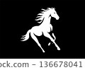 Silhouette of rearing horse prancing on hind legs against black background 136678041