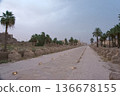 Luxor's Sacred Way, a vestige of ancient architecture, with illuminated sphinxes 136678155