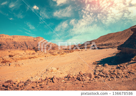 View of the desert on a bright sunny day. Timna Park in Arava desert near Eilat, Israel View of the desert on a bright sunny day. Timna Park in Arava desert near Eilat, Israel 136678586