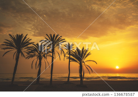 Seascape in the early morning during a beautiful sunrise. Palm trees on the beach. San Juan beach, Alicante, Spain 136678587
