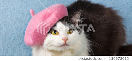 Beautiful black and white cat wearing a pink beret hat lying on a blue blanket Beautiful black and white cat wearing a pink beret hat lying on a blue blanket 136678613