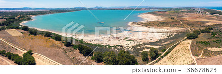 Panoramic aerial view of Salada de la Mata lagoon in Torrevieja, Spain. Young vineyards on the lake shore on a sunny day 136678623