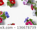 Flowers at the edges of this picture 136678739