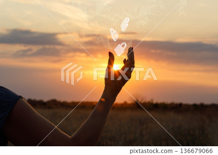Sunset network guard Sunset network guard 136679066