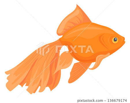 Goldfish cartoon icon. Golden underwater animal. Exotic fish Goldfish cartoon icon. Golden underwater animal. Exotic fish 136679174