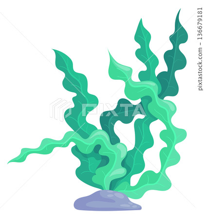 Laminaria cartoon icon. Green ocean bottom flora 136679181