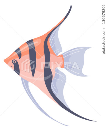 Angelfish icon. Tropical ocean fish cartoon pet 136679203