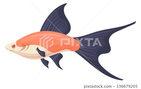 Lyretail fish pet. Aquarium swordtail cartoon icon 136679205