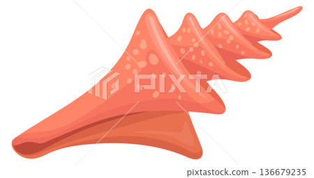 Sharp rib spiral drill shell cartoon icon Sharp rib spiral drill shell cartoon icon 136679235