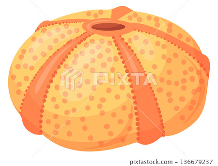 Sea urchin shell cartoon icon. Marine fauna 136679237
