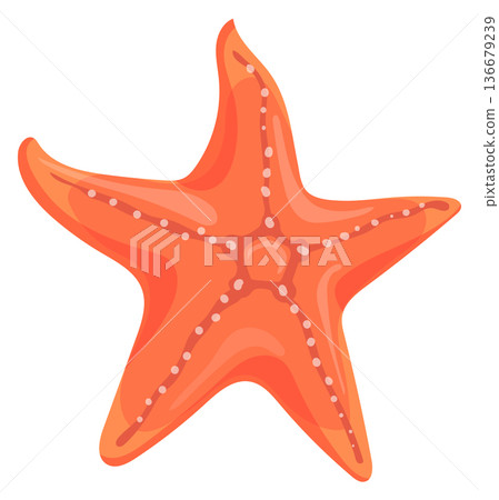 Red starfish cartoon icon. Underwater wild animal Red starfish cartoon icon. Underwater wild animal 136679239