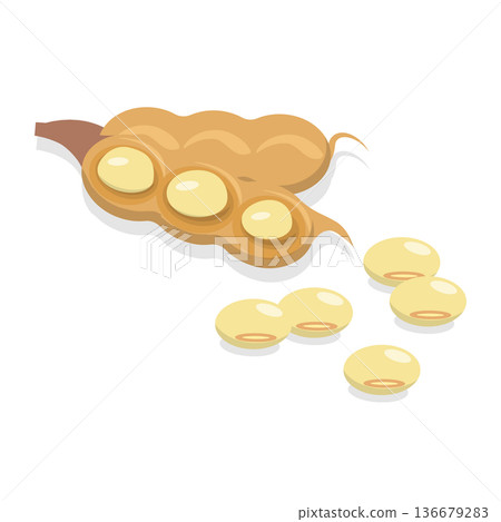 3D Isometric Flat Vector Set of Protein Food, Fresh Soybeans Straight From Nature. Item 5 3D Isometric Flat Vector Set of Protein Food, Fresh Soybeans Straight From Nature. Item 5 136679283
