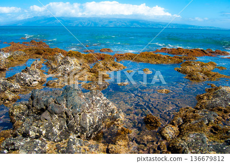 Hawaiian Tidepools at the rocky shore of Maui 136679812