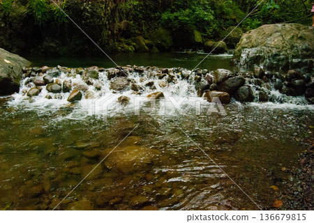 Beautiful Creek Flowing in Maui, Hawaii 136679815