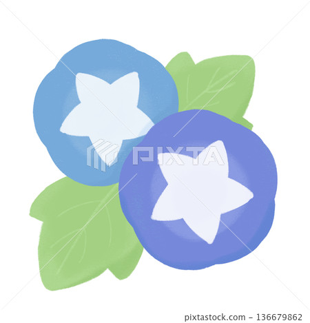 Crayon-style morning glory illustration Cute hand-drawn material of summer flowers Crayon-style morning glory illustration Cute hand-drawn material of summer flowers 136679862